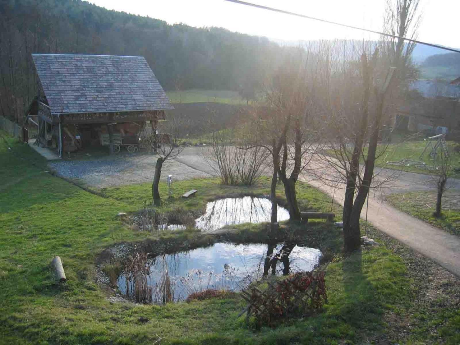 Appartement Turisticna Kmetija Cebelji Gradic à Rogašovci Extérieur photo