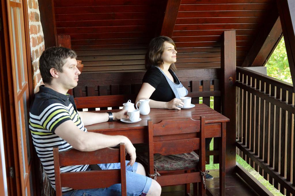 Appartement Turisticna Kmetija Cebelji Gradic à Rogašovci Extérieur photo
