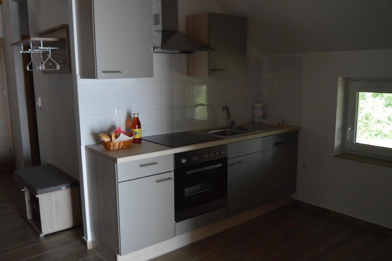 Appartement Turisticna Kmetija Cebelji Gradic à Rogašovci Extérieur photo